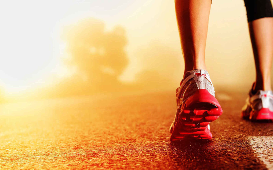 Maintaining an exercise programme